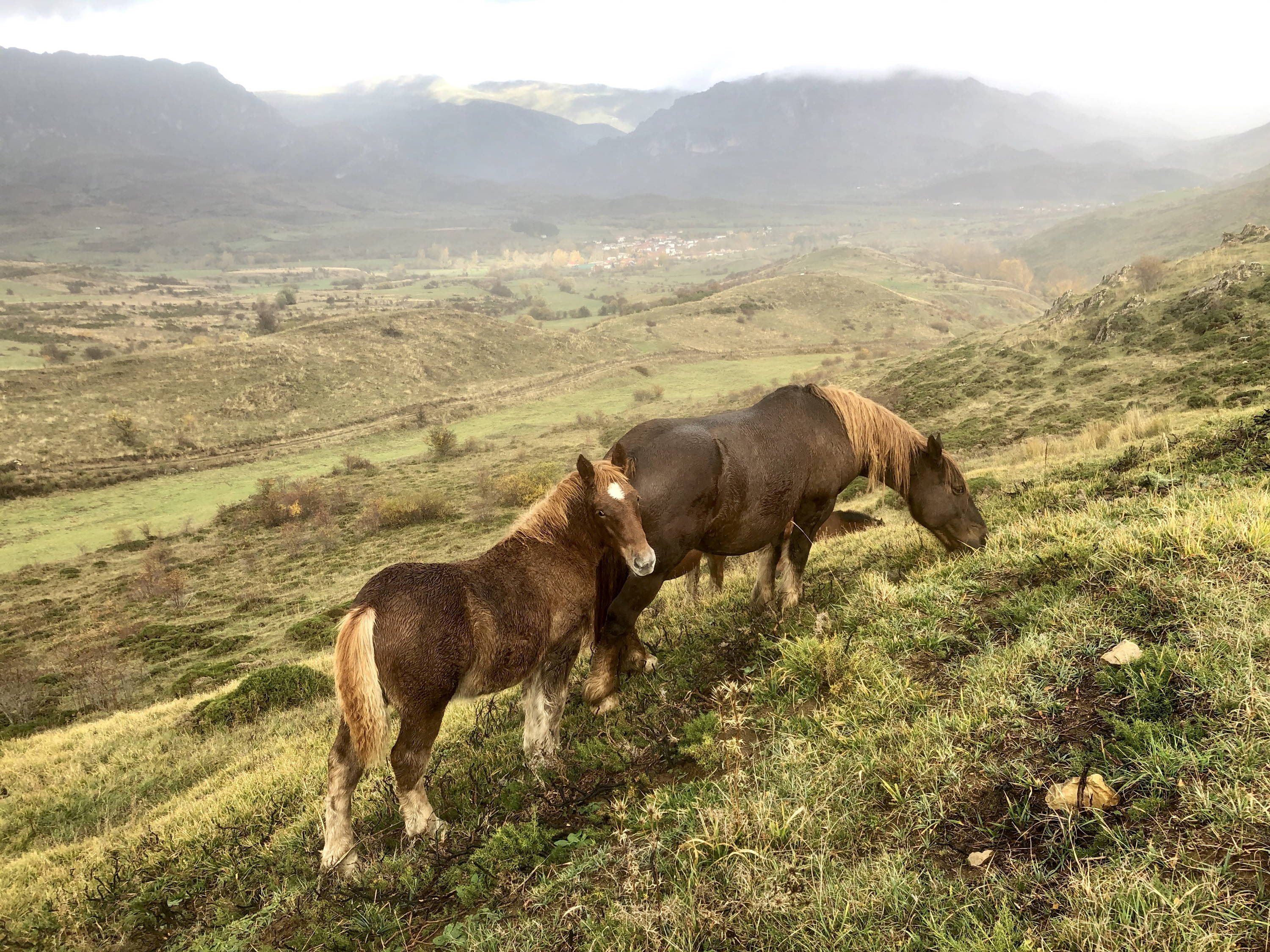 THE ULTIMATE GUIDE TO THE CAMINO DE SANTIAGO