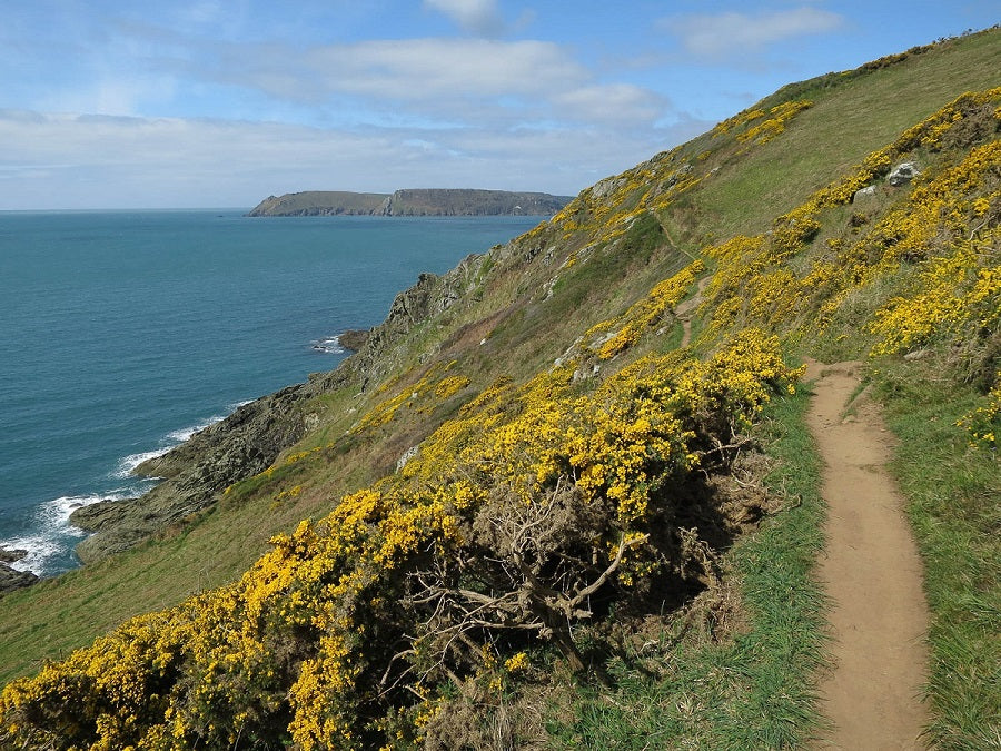 South West Coast Path